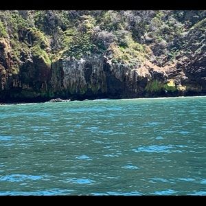 Meet your Posher, Gavin